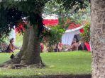 ara-sederahana-di-Istana-Batu-Tulis-Bog-gg.jpg