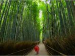 arashiyama-bamboo-grove-kyoto-jepang.jpg