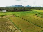 area-lahan-pertanian-organik-fao-2103.jpg