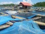 area-pembudidayaan-lobster-yang-dikelola-abdullah-di-desa-telong-elong.jpg