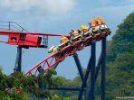 area-permaianan-di-jungleland.jpg