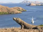 area-wisata-pulau-komodo_20180803_140328.jpg