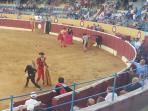 arena-adu-banteng_20150923_150937.jpg