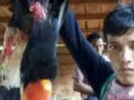 arhedi-pegang-burung-rangkong.jpg