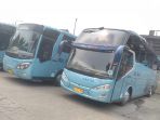 armada-bus-big-bird_20180821_141841.jpg