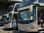 armada-bus-double-decker-po-putera-mulya_20170111_213410.jpg
