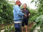 arnod-sihite-saat-berdialog-dengan-petani-di-kawasan-danau-toba.jpg