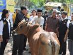 artha-graha-peduli-bagikan-hewan-qurban-ke-seluruh-indonesia_20150923_232657.jpg