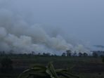 asap-kebakaran-lahan-hutan-di-kalimantan_20190916_104016.jpg