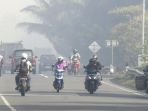 asap-pekat-di-kawasan-suak-raya_20170725_114940.jpg