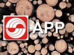 asia-pulp-and-paper-app.jpg