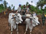 asisten-operasi-kasad-mayjen-tni-george-elnadus-supit-naik-gerobak-sapi_20160923_210204.jpg