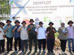 Genjot Produktivitas Padi di Lahan Sulfat Masam PPU, Pemda dan ABI Studi Teknologi Inovatif