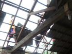 atap-rumah-sutaji-jebol-tertimpa-pohon-kelapa_20160928_142954.jpg