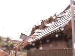 atap-rumah-warga-di-jepang-diterpa-angin-kencang.jpg