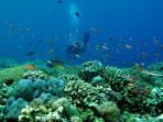 atol-takabonerate-di-kepulauan-selayar_20160325_193023.jpg