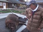 babi-hutan-di-jepang_20171128_140247.jpg
