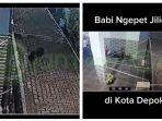 babi-ngepet12322.jpg