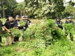 badan-narkotika-nasional-bnn_20161104_181828.jpg