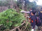 badan-narkotika-nasional_20161206_190306.jpg