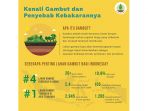 badan-restorasi-gambut_20180828_093359.jpg<pf>badan-restorasi-gambut_20180828_093542.jpg<pf>badan-restorasi-gambut_20180828_093557.jpg<pf>badan-restorasi-gambut_20180828_093629.jpg