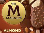 badan-standar-makanan-fsa-menerbitkan-peringatan-es-krim-magnum-almond-tidak-aman-dikonsumsi.jpg
