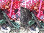 bagian-meriam-lelo-yang-pecah_20180510_132546.jpg