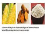 bahan-makanan-yang-mengandung-karbohidrat.jpg