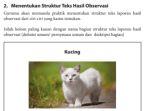 bahasa-indonesia-kelas-7-halaman-144.jpg