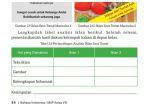 bahasa-indonesia-kelas-8-halaman-54-kurikulum-merdeka.jpg