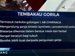 bahaya-mengonsumsi-narkoba-jenis-tembakau-gorilla_20170116_152821.jpg