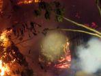 bakar-hidup123.jpg