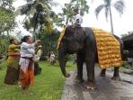bali-zoo_20150721_213228.jpg