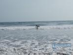 balian_20151116_161649.jpg