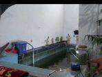 balita-tewas-di-kolam-ikan-koi.jpg