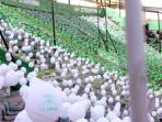 balon-panathinaikos-memprotes-sanksi-pemerintah-yunani_20160129_183829.jpg
