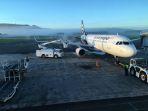 bandara-dunedin-di-selandia-baru.jpg