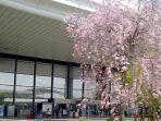bandara-internasional-narita-jepang.jpg