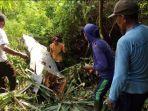 bangkai-sayap-pesawat-tempur-t-50i-golde.jpg