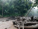 banjir-bandang-terjang-puncak-bogor_20210119_193033.jpg