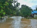 banjir-kalsel-tanah-bumbu-1305.jpg