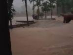 banjir-kembali-terjadi-di-kabupaten.jpg