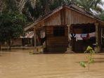 banjir-langkat1233.jpg