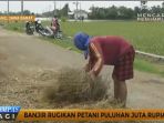 banjir-rugikan-petani-puluhan-juta_20161118_141640.jpg