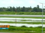 banjir_20171113_150449.jpg