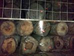 barang-bukti-kayu-ilegal_20160505_121516.jpg