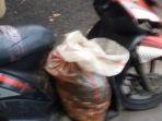 barang-bukti-plastik-berisi-kepala-dan-jeroan-anjing-yang-dibuang-dede-111.jpg