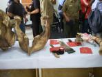 barbuk-gajah_20160412_150736.jpg