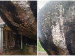 batu-besar-di-samping-rumah-warga-di-cianjur-jabar.jpg