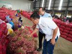 bawang-merah-bapanas-64836.jpg